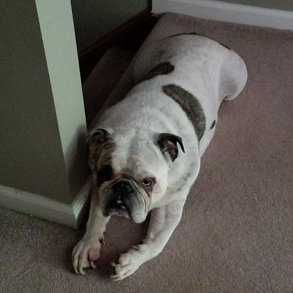 Meet your Posher, Kelly - Picture 2 of 4